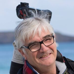 Stage photo oiseaux privatif - 3h