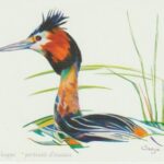 oiseau3
