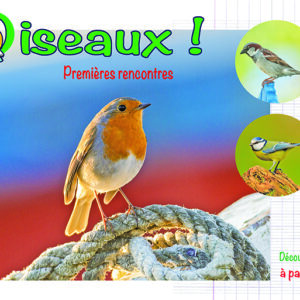Oiseaux premières rencontres