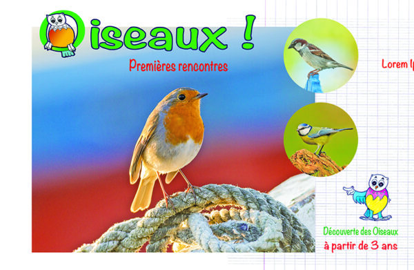 Oiseaux premières rencontres