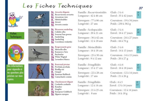 Oiseaux 1ères rencontres ! Tome 2 – Image 2