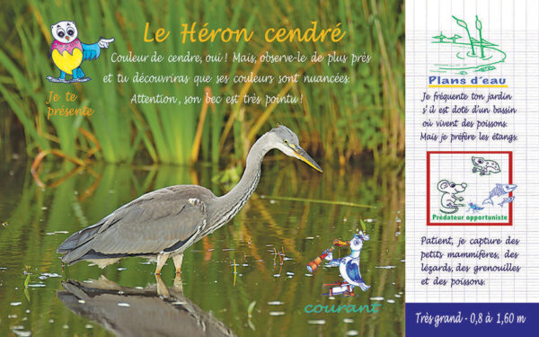 Oiseaux 1ères rencontres ! Tome 2 – Image 3