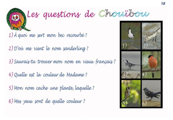 Oiseaux 1ères rencontres ! Tome 2 – Image 5