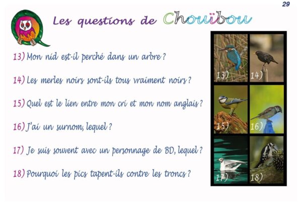 Oiseaux 1ères rencontres ! Tome 2 – Image 6