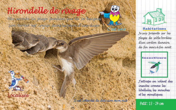 Oiseaux premières rencontres – Image 2
