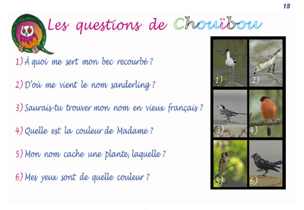 Oiseaux 1ères rencontres ! Tome 2 – Image 7