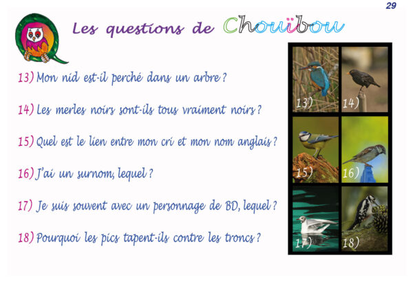 Oiseaux 1ères rencontres ! Tome 2 – Image 8