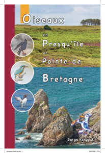 Oiseaux en Presqu`île et Pointe de Bretagne