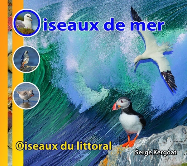 Oiseaux de mer et du littoral