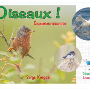 Oiseaux 1ères rencontres ! Tome 2