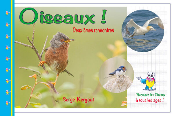 Oiseaux 1ères rencontres ! Tome 2