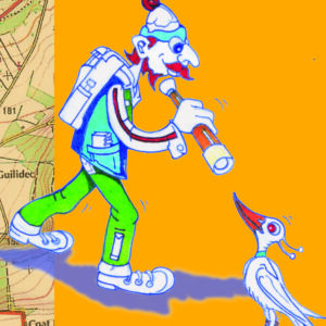 Oiseaux de randonnée