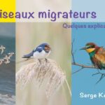 couverture+migrations3-386w