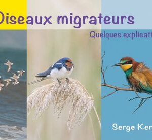 Oiseaux migrateurs