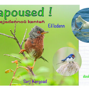 Lapoused ! Kejadennou kentan eil lodenn