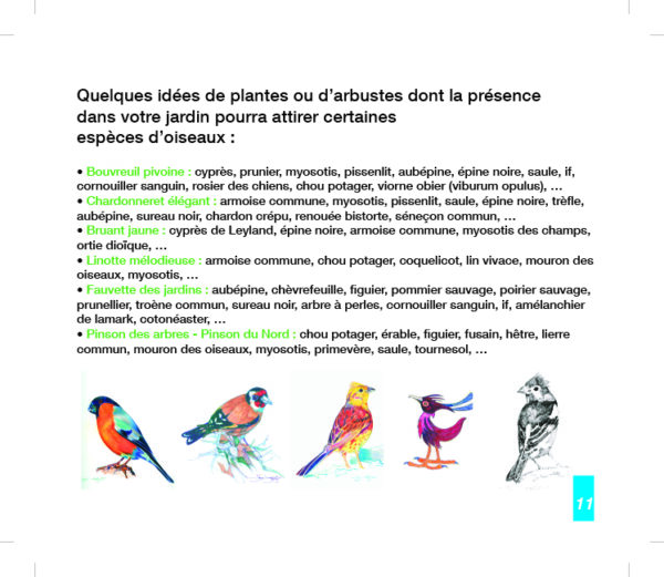Oiseaux des Jardins de Bretagne - 60 espèces – Image 3