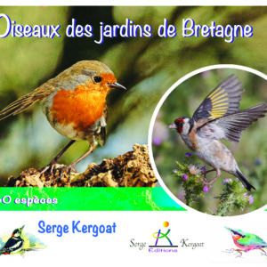 Oiseaux des Jardins de Bretagne - 60 espèces