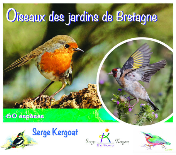 Oiseaux des Jardins de Bretagne - 60 espèces