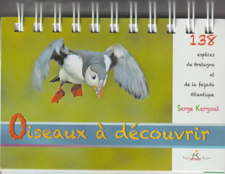 Oiseaux à découvrir