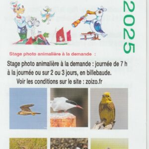 Sortie oiseaux forfait 2 heures
