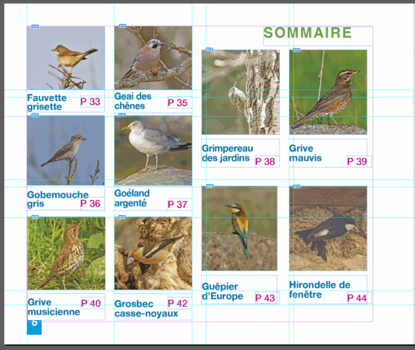 Oiseaux des Jardins de Bretagne - 60 espèces – Image 8