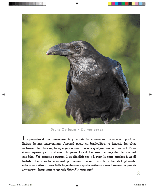 Oiseaux... l'Autre regard – Image 10