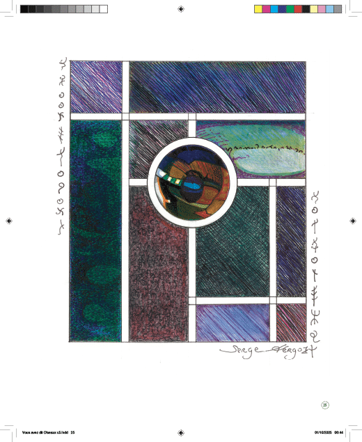 Oiseaux... l'Autre regard – Image 8