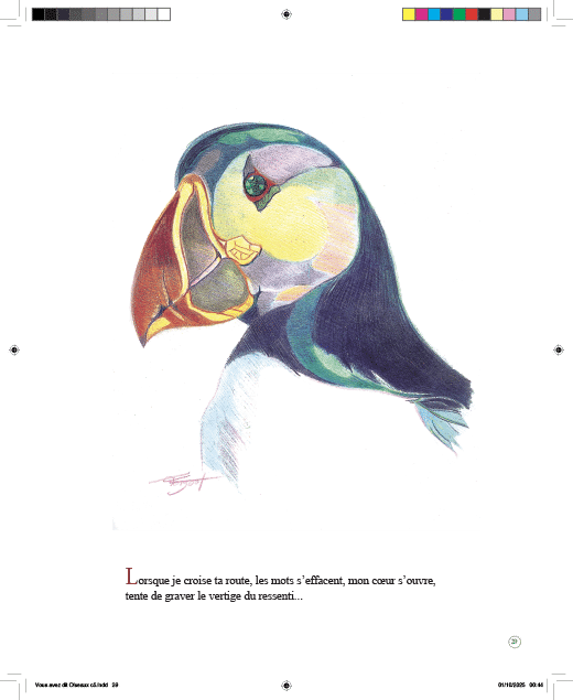 Oiseaux... l'Autre regard – Image 4