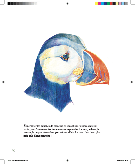 Oiseaux... l'Autre regard – Image 3