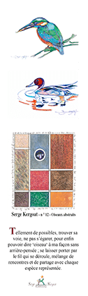Oiseaux... l'Autre regard – Image 11