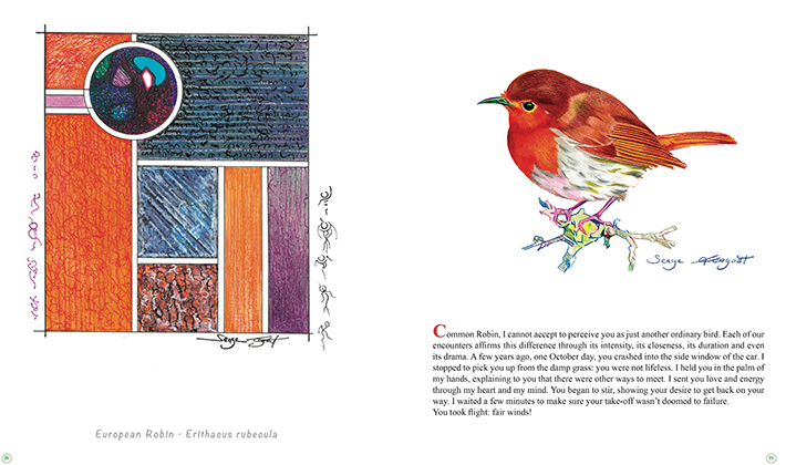 Birds... An alternative Perspective – Image 3