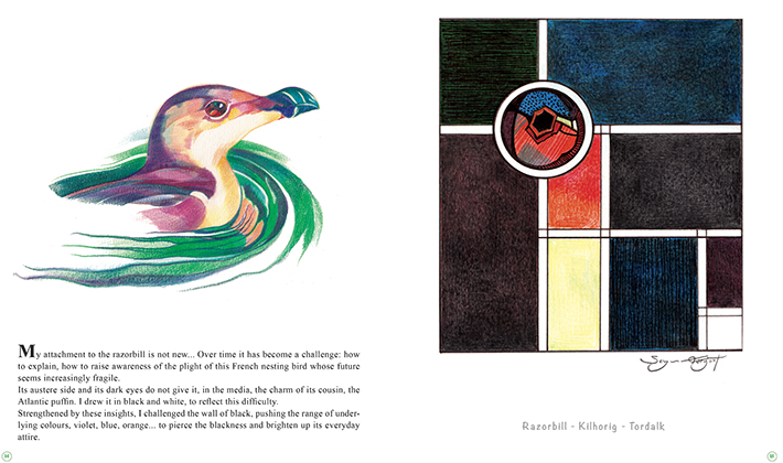Birds... An alternative Perspective – Image 7